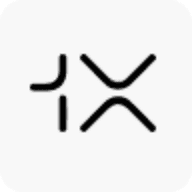 1X logo