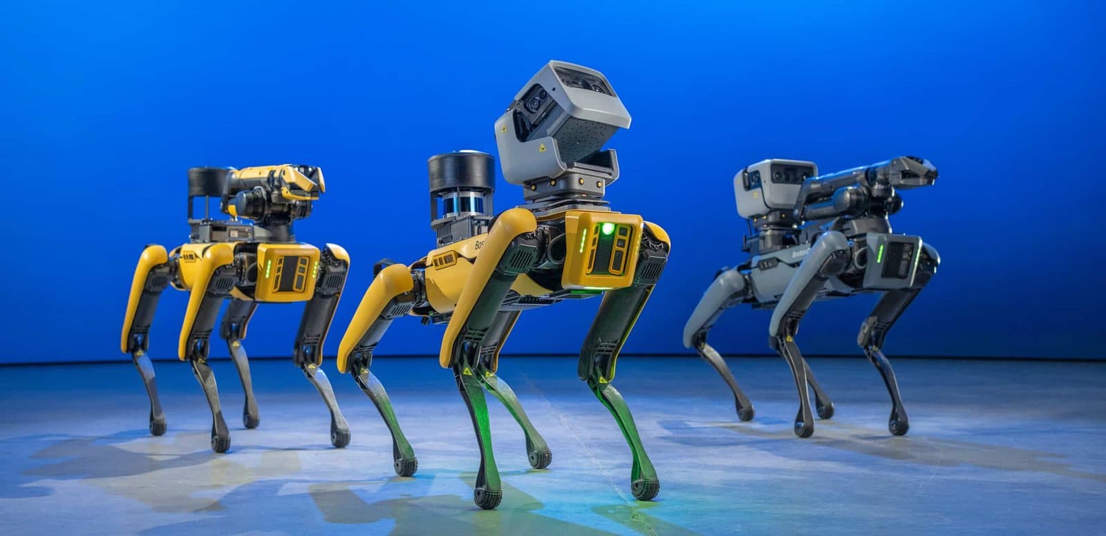 The Boston Dynamics Spot
